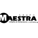 GRUPO MAESTRA WEB